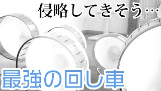 シマリスの激しい音に対抗する回し車が出てしまった件