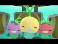 octonauts creature reports part 1 cartoons for kids underwater sea education