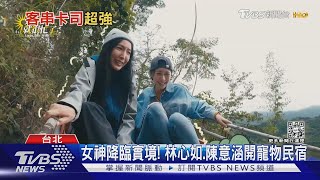 《光開門就很忙了》林心如聯手陳意涵開寵物民宿｜TVBS娛樂頭條@tvbsforfun