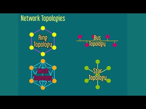 Computer Science: Network Topologies  (Mesh, Bus, Ring, Star)