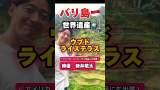 🇮🇩【バリ島でジップライン体験】 世界遺産　ウブド ライステラス🌾