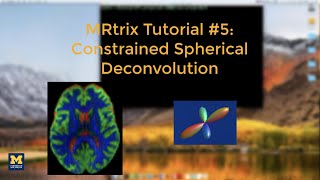 MRtrix Tutorial #5: Constrained Spherical Deconvolution