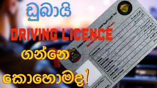 Dubai Driving Licence ඩුබායි වල රියදුරු බලපත්‍ර ලබාගන්නෙ කොහොමද?