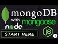 Intro to MongoDB and Mongoose | Node.js Tutorials for Beginners