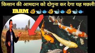 किसान भाईयो की आमदन को दोगुनी कर देगा यह मछली फार्म🦈🐬🐟🐠