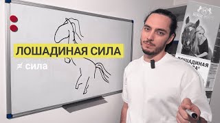 Минутка науки. Что такое лошадиная сила