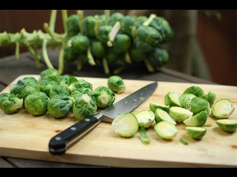 Trim Brussels Sprouts Perfectly Trim Brussels Sprouts Perfectly