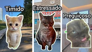 TIPOS DE PESSOAS REPRESENTADAS POR GATOS!