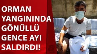 Orman yangınına müdahale eden gence ayı saldırdı! | A Haber