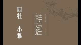 俗人读《诗》之《四牡》｜诗｜诗经｜诗三百｜雅｜小雅｜四牡