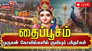 🔴Thaipoosam Festival 2025 LIVE | கந்தனுக்கு அரோகரா! - பக்தியில் மூழ்கிய பக்தர்கள் | N18L