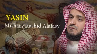 Surat YASIN Syaikh Mishary Rashid Alafasy arab, latin, & terjemah