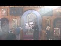 virgin mary u0026 st george coptic orthodox church holy liturgy friday 02 07 25 القداس الإلهي