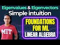 Foundations for Machine Learning | Simple intuition of eigenvalues and eigenvectors | Linear Algebra