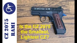 CZ2075 Rami Steel Sub Compact