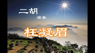 枉凝眉/二胡 張富雄 電視劇《紅樓夢》主題曲