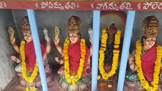 Sri Nagamma Talli #temple Siddantham #westgodavari #nagamma #andhrapradesh #ammavaru #trend #viral