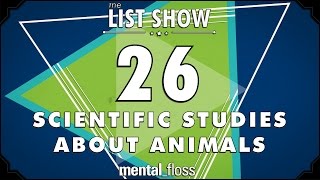 26 Scientific Studies about Animals - mental_floss List Show Ep. 444 | Mental Floss