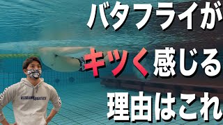 【水泳-バタフライ】初心者必見！ストロークの軌道とポイントについて