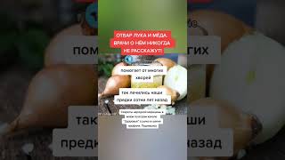 отвар лука и мёда врачи о нем никогда не расскажут #полезныесоветы #зож #медицина #полезно