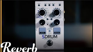 DigiTech SDRUM Auto-Drummer Pedal | Reverb Demo