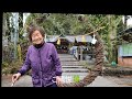 【伝統の継承】三嶋神社で、節分に輪抜けしました