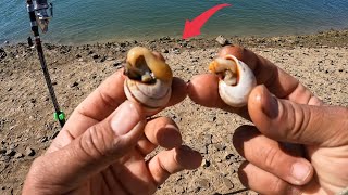 Finding The Perfect Bait: Simple But Effective tips