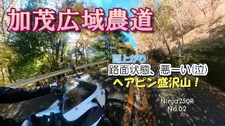 嫁ツーリング【加茂広域農道】　雨上がり、路面状態最悪(泣)　連続ヘアピン！