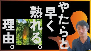 解決方法は○○【農業 収益UP】