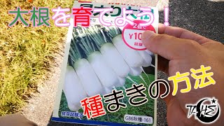 庭007 大根の種まきをしよう！簡単な種の播き方♪