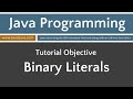 Learn Java Programming - Binary Literals
