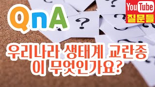 우리나라 생태계 교란종이 무엇인가요?