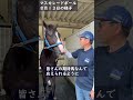 【新馬戦を快勝！レース２日後のマスカレードボール】＃マスカレードボール　＃手塚貴久厩舎　＃ドゥラメンテ　＃マスクトディーヴァ　＃ディープインパクト　＃競馬　＃競走馬　＃新馬戦　＃戸崎圭太　＃新潟競馬場