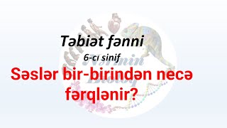 Təbiət fənni, 6-cı sinif. Səslər bir-birindən necə fərqlənir?