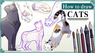 How to draw CATS - Step by Step Art Tutorial