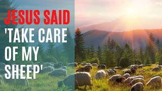 Sermon on John 21:15-19 | Feed My Lambs and Take Care of My Sheep | www.newlivingstones.com