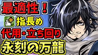 【最適正】永刻の万龍！カイシュウ編成！代用・立ち回り解説！万寿チャレンジ！未知の新星【パズドラ】