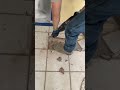 Tile removal with the Bosch Bulldog #bosch #tools #machine #diy #home #homeworkout #video #reel