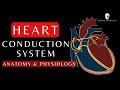 Conduction system of the heart | Sinoatrial node, AV Node, Bundle of His, Anatomy and Physiology.