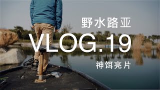 野水张超的路亚VLOG 19 玩路亚这一种饵就够了？路亚神饵亮片