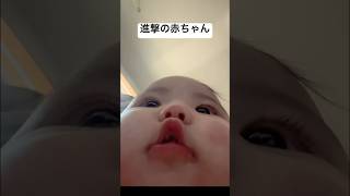 【速報】進撃の赤ちゃん、現る。 #baby #赤ちゃん #進撃の巨人 #速報 #news #実況ベイビー babyyyy.2024さんより！