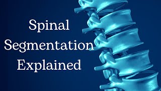 How To Do Spinal Segmentation