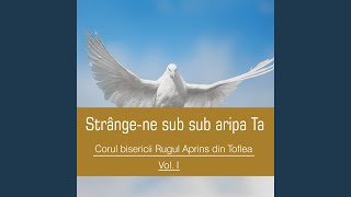 Orice genunchi să se aplece în fața Ta