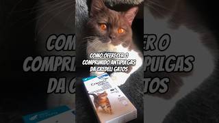 Comprimido antipulgas palatável Credeli Gatos