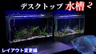 【特注薄型シクリッド水槽】卓上ダブルでレイアウト変更/大きさ5倍になったアーリーは本当はフライエリー/真っ黒ディスカスの色は自律神経が変えるのか？【熱帯魚/アクアリウム】