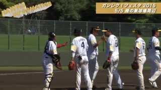 HAWKS INFORMATION 2015 Vol.11 ソフトバンクホークス 0520