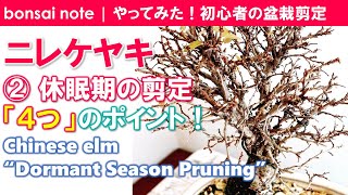 ニレケヤキ盆栽②休眠期の剪定5つのポイント｜Chinese elm “Dormant Season Pruning”／bonsai