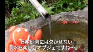 【ハピスロチャンネル】秋の紅葉見物 in 大阪 万博記念公園！