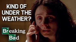 Lydia's Fate | COMPILATION | Breaking Bad