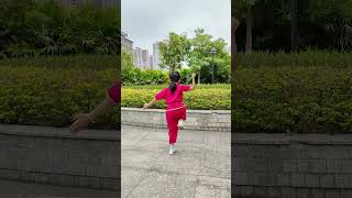 小女孩练功夫《少林连环拳》第一段 #功夫 #武术 #少儿武术 3